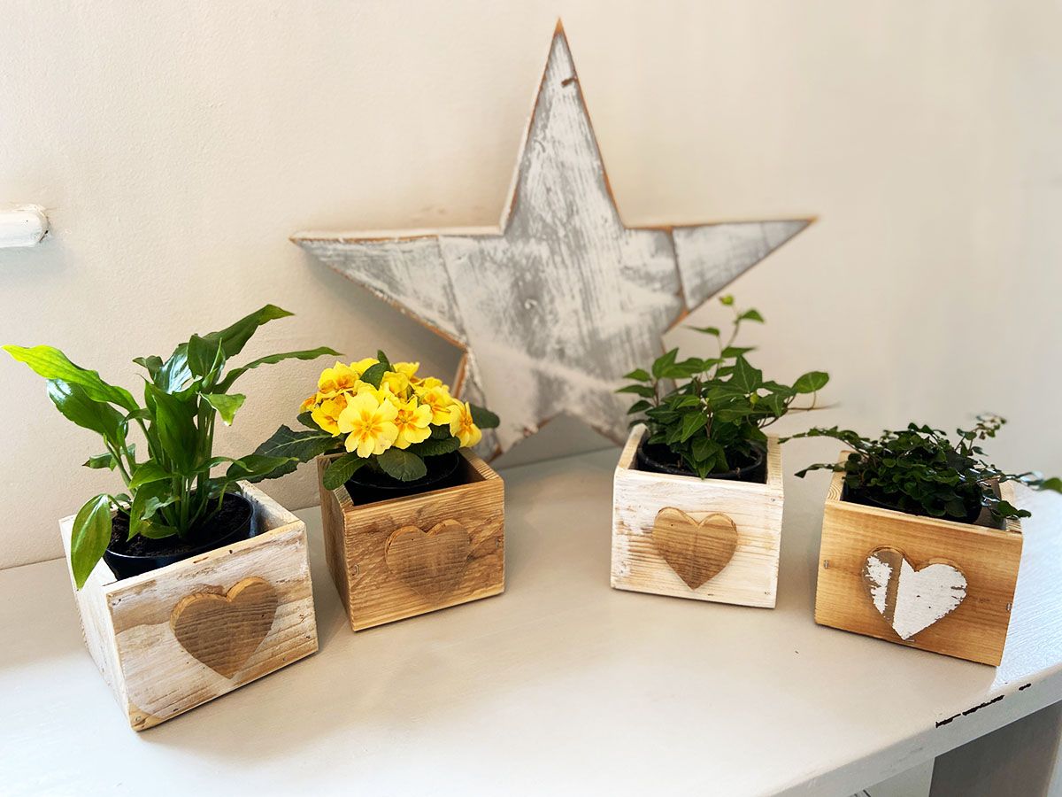 Decorations, Woodshed Living