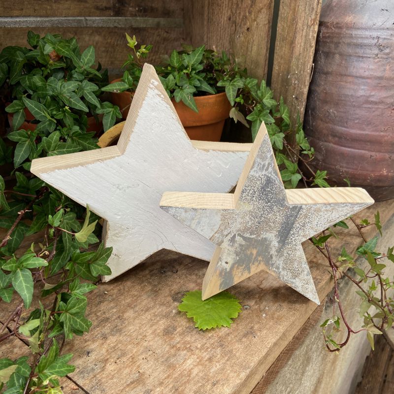 Standing Star